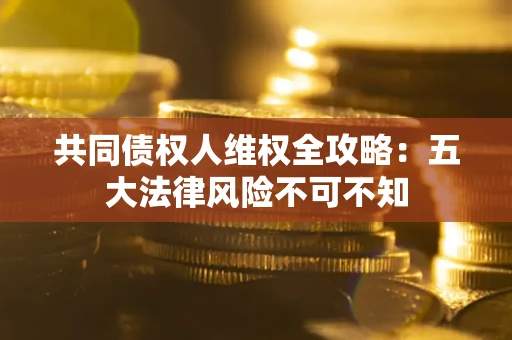 武汉共同债权人维权全攻略：五大法律风险不可不知