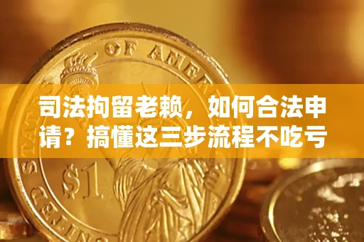 武汉司法拘留老赖，如何合法申请？搞懂这三步流程不吃亏！