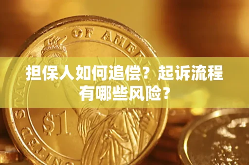 武汉担保人如何追偿？起诉流程有哪些风险？