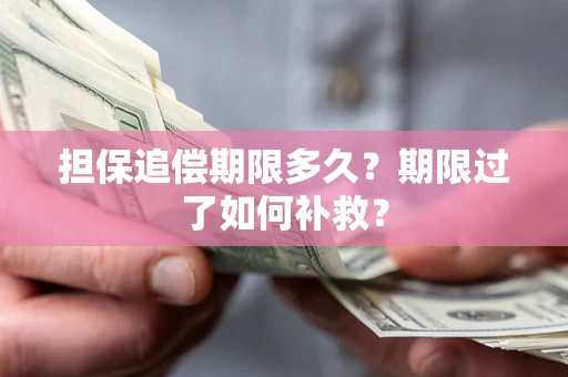 武汉担保追偿期限多久？期限过了如何补救？