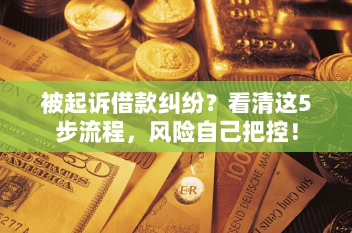 武汉被起诉借款纠纷？看清这5步流程，风险自己把控！