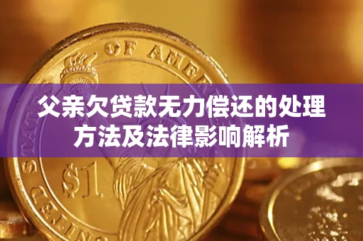 武汉父亲欠贷款无力偿还的处理方法及法律影响解析